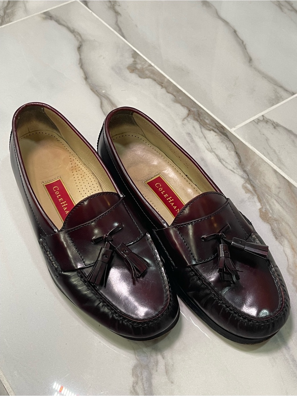 Cole Haan Men's Wine Leather Tassel Loafers
